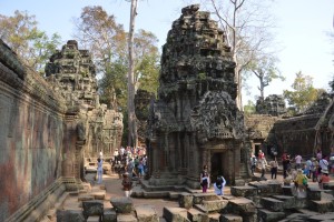 1126 - 10 02 2014 - CBD - Angkor - Temple Ta Prohm